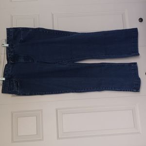 Women's Dressbarn Fantasy Jeans, Size 22 Short